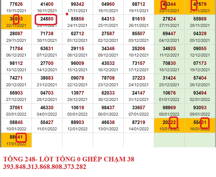 TONG 248.jpg